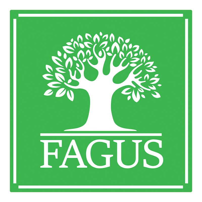 Fagus