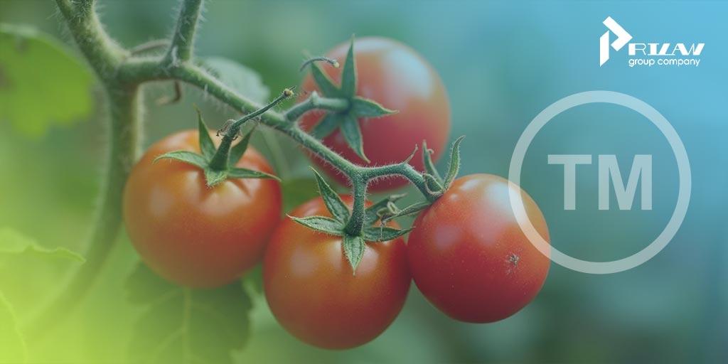 товарный знак в 31 классе МКТУ