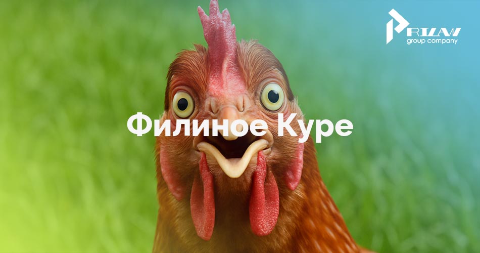 Филиное Куре