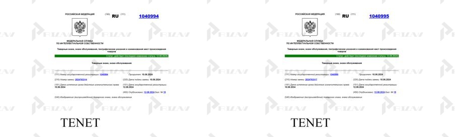 Товарные знаки ТЕНЕТ с правами на физическое лицо