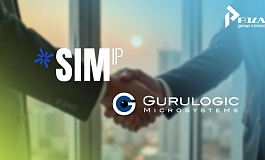 Приобретение патентов для коммерциализации: Сделка Sauvegarder Investment с Gurulogic Microsystems