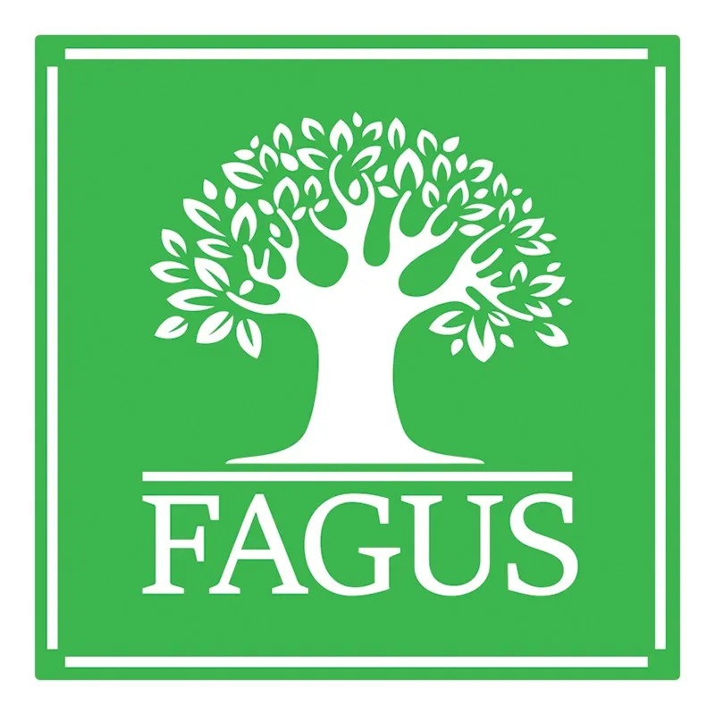 Fagus