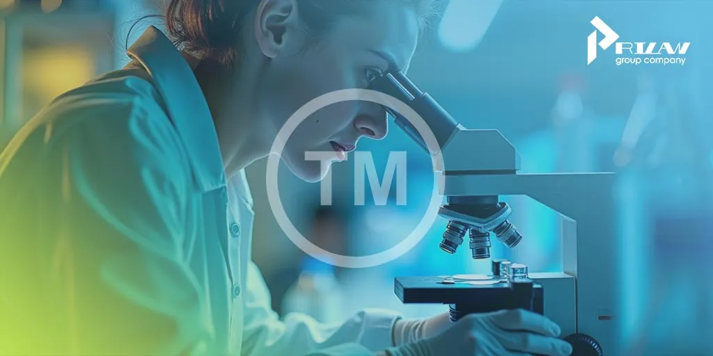 товарный знак в 42 классе МКТУ