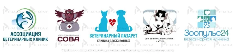 Услуги ветеринарии и уходу за животными Товраные знаки на услуги ветеринарии и уходу за животными