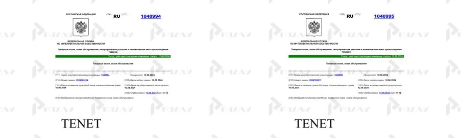 Товарные знаки ТЕНЕТ с правами на физическое лицо Товарные знаки ТЕНЕТ с правами на физическое лицо