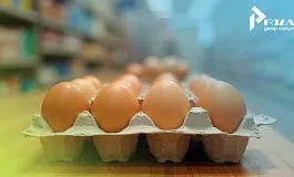 История победы ООО «АЙКЮ-ПАК» с «Окским» из-за упаковки для яиц