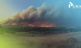 Лесные пожары в Калифорнии: бедствие огромного масштаба