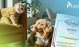 Промышленный образец на дизайн изделий и приспособлений для содержания животных: правила патентования